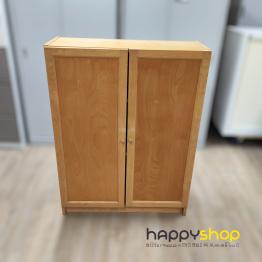 Cabinet (Discounted Item)