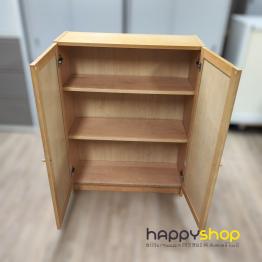 Cabinet (Discounted Item)